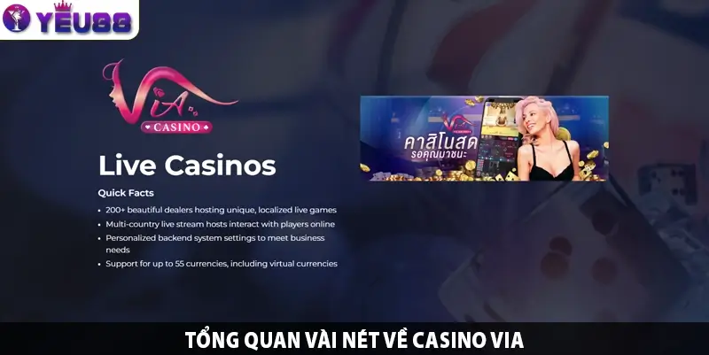 Tổng quan vài nét về casino VIA